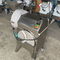 Multifunctionele commerciële industriële groente- en fruitsnijmachine voor bananenchips, aardappelchips, ui en appel.