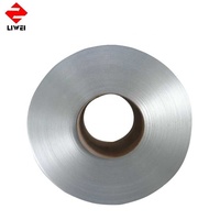 Feuille Gi en acier galvanisé pour mesurer le poids, bobine 1 pièce, mesure du poids uttom