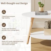 Table basse ovale à 2 niveaux avec pieds en bois massif, table à thé blanche avec rangement, meuble démontable sur mesure pour salon et intérieur.