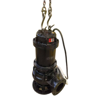 Pompe submersible WQ pour eaux usées, centrifuge, grand débit, en fonte, anti-colmatage
