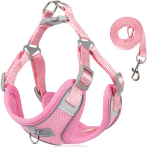 Harnais pour <span class=keywords><strong>chien</strong></span> Gilet réfléchissant réglable <span class=keywords><strong>Protection</strong></span> professionnelle sans traction résistant à l'usure <span class=keywords><strong>Chien</strong></span> Chat Poitrine Gilet Harnais Marche Chiot - Product Image 5