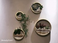 3 Paket Set Pot Tanaman Gantung Bentuk Kuda dari Logam, Pot Sukulen, Vas Gantung, Desain Kontemporer, Dekorasi Rumah dan Kantor
