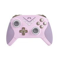 Nouvelle manette de jeu sans fil BT 2.4G avec lumières RGB éblouissantes pour N-Switch Switch/PC/Android/IOS