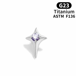 Mini <span class=keywords><strong>Orecchini</strong></span> a Stella in Cristallo F136 in Lega di Titanio Finemente Lucidati con Filettatura Interna per Piercing all'Orecchio - Product Image 5