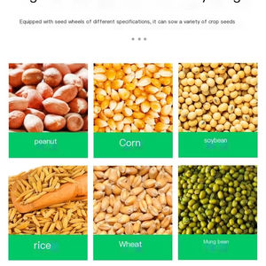 Semoir manuel multifonctionnel pour maïs semoir manuel pour maïs - Product Image 3