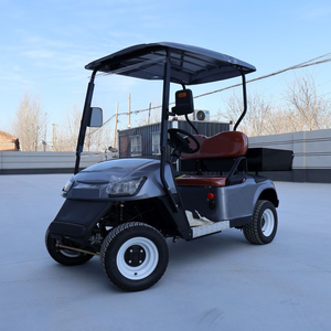 Высококачественный двухместный электрический гольф-кар 4x4 серого цвета с интеллектуальной зарядкой для гольф-полей и осмотра живописных мест - Product Image 1