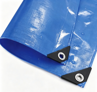 Bâche en PE de toutes couleurs, bâche en polyéthylène avec protection UV, tissu plastique en feuille de taille standard pour l'agriculture/l'industrie