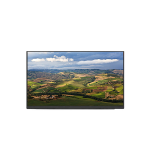 Pantalla LCD TFT LCM de 16.0 Pulgadas 2560RGB*1600 WQXGA 188PPI NE160QDM-N61, Pantalla LCD para Portátil en Oferta - Product Image 1