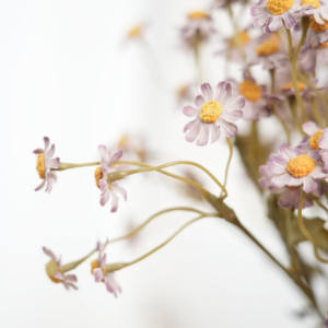 Yunnan Natuurlijke Magische Bloem Geconserveerde Daisy Bloemen Chrysanthemum Voor Huisdecoratie - Product Image 6