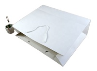 Custom High Quality Luxury White Paperboard Hand Length Flexo Printed Recyclable Film Laminated Shopping Bags for Clothing