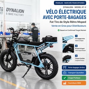 Vélo Électrique avec Porte-Bagages Arrière, Pneus Larges, Style Rétro Cyclomoteur pour Grossistes, Fournisseur OEM, Commande en Gros, Approvisionnement Direct Usine - Product Image 1