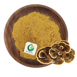 Private Label Natural Oganic Coriolus Versicolor Extrato Em Pó Turquia Cauda Cogumelo Extrato