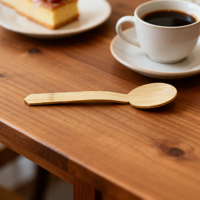 Mini cuillères jetables en bambou pour la dégustation de glaces, yaourts et desserts – Lot de petits ustensiles écologiques pour condiments