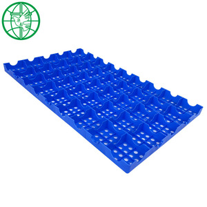 Palette en plastique Hua Nan 1000x600x50mm, grille anti-humidité, matériau HDPE - Product Image 2