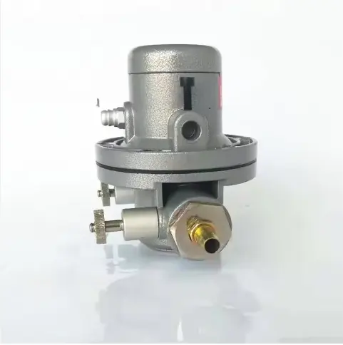 BML-5フレキソ印刷機用単方向空気圧インク循環ポンプ/腐食防止空気圧シングルダイアフラムポンプ