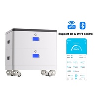 Batterie LiFePO4 51,2 V 200 Ah 10,24 kWh Empilable Stockage Solaire Hybride BMS RS485/CAN Bluetooth WiFi 10-20 kW de crête 16 unités en parallèle