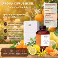 Huile de parfum longue durée Crearoma en promotion pour diffuseur de parfum, idéale pour les marchés B2B hôteliers