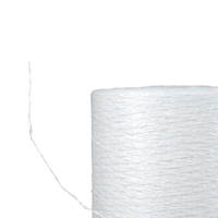 E/C-glass Fiber Glass 136Tex Fiberglass Yarn for Weaving Fiberglass Mesh