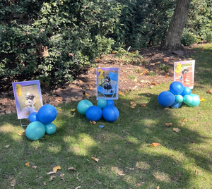 Panneaux de signalisation double face 18x24 résistants aux UV et à l'usure avec piquet en H pour l'éducation et les écoles, signalisation d'inscription aux <span class=keywords><strong>cours</strong></span> - Product Image 3