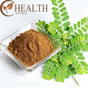 Extracto Natural de Chanca Piedra OEM, Suplemento Herbal, Extracto de Stonebreaker, Apoyo para la Salud Renal y Hepática, Extracto de Phyllanthus Niruri - Product Image 4