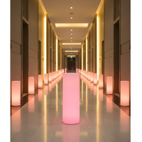 Lampes de jardin solaires à pilier LED pour l'aménagement paysager extérieur, jardin de villa dans un style minimaliste Caractéristique avec étanchéité