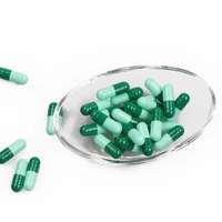 Capsules vides en gélatine HPMC halal de haute qualité, meilleur prix de gros, tailles 00 0 1 2 3 4