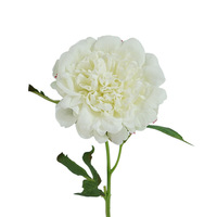 H-346 bunga peoni buatan, batang tunggal sentuhan asli Peony kepala besar putih merah muda bunga Peony untuk dekorasi pesta pernikahan