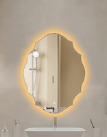 Miroir mural de forme irrégulière avec lumière LED tricolore réglable, anti-explosion, anti-humidité, sans déformation