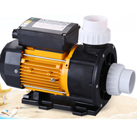 Bomba de Hidromasaje para Bañera de 220V y 1HP, Bomba de Spa para Piscina