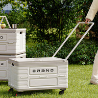 Boîte de rangement pliable et mobile d'extérieur avec couvercle en bois, grande capacité, pour camping, pique-nique, organisateur portable, utilitaire, voiture, salle de bain