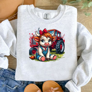 工場卸売 カスタム DTF 熱転写ステッカー カウボーイズデザイン シルクスクリーン印刷 アイロン接着 Tシャツ バッグ - Product Image 4