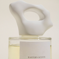 Diffuseur d'arômes en céramique blanche True Scent avec bouteille en verre et bouteille diffuseur en céramique pour huiles essentielles