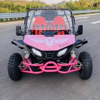 Nouveaux karts à essence tout-terrain 2 places pour adultes, 200cc/230cc/300cc, haute vitesse, pas chers, pour la plage et les dunes