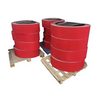 Bande abrasive en céramique RG998-P50-100*915 pour matériaux métalliques, offrant une coupe rapide et une longue durée de vie des outils