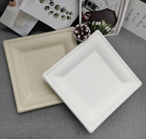 Tấm giấy dùng một lần & khay vuông 10 inch phân hủy Bộ đồ ăn cho nhà hàng - Product Image 3