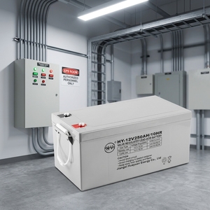Prix d'usine Batterie au plomb-acide 12V 250AH pour système solaire - Fabricant Huayuan - Product Image 6