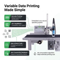 Impresora de Inyección de Tinta para Codificación de Fecha en Línea NASCENCE Personalizada de 12.7mm TIJ T210S-1, Código de Barras, 600X600dpi, Pantalla Táctil Portátil, 1 Año