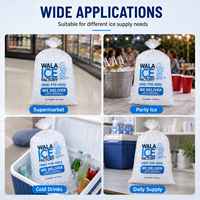 Sacs à glaçons en plastique LDPE transparents avec logo personnalisé, directement de l'usine, pour l'emballage des glaçons