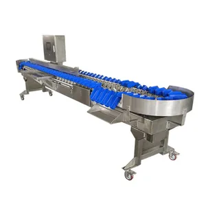 Weight Checker Conveyor Fruit Grading Machine Fish Grade Machine