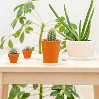 Plateau de pot de fleurs en résine transparente blanche moderne avec support de pot de fleurs en plastique épaississant pour le jardin, la maison et la pépinière