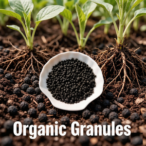 Customized Soil Conditioner in Bulk Organic Matter NPK Sulphur Humate Amino Acid <strong>Seaweed</strong> - Product Image 3