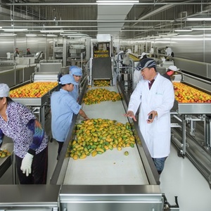 Ligne de production de fruits entièrement automatique, neuve, machine de fabrication à haut rendement, produisant des volumes importants - Product Image 5