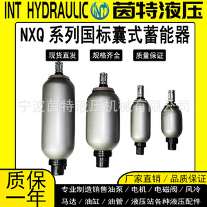 Acumulador de vejiga hidráulica Nxq de 6.3L y 31.5Mpa de acero al carbono para uso industrial - Product Image 5