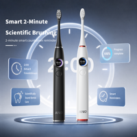 Fabricant BSCI, brosse à dents électrique portable de voyage pour adultes, avec logo personnalisé, écran intelligent, EMC, RoHS