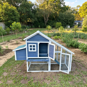 Elegante gallinero pintado en dos tonos con ventana decorativa, rampa, tapete y corral de malla completa, perfecto para jardín y huerto familiar. - Product Image 1