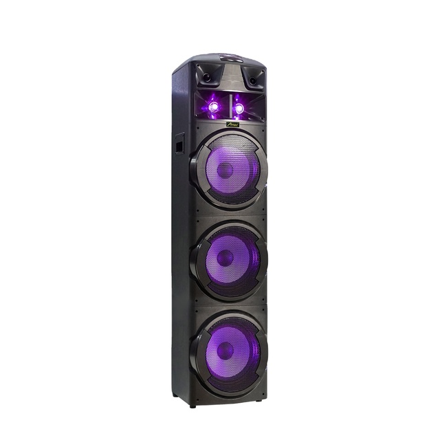 Amaz Best Seller High Power 100W DJ Speaker with LED Lights Battery Powered Built-in Mic Wireless Support for KTV/Theater/Church