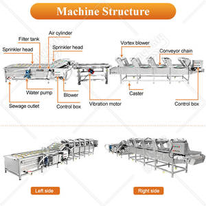 MY Laveuse-sécheuse de fruits et légumes à feuilles, machine de nettoyage et de séchage pour légumes à feuilles et laitues - Product Image 2