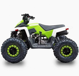 รถเอทีวีควอดไบค์แบบอัตโนมัติ รุ่นใหม่ 300 ซีซี 4 จังหวะ DIY OEM/ODM พร้อมแฮนด์พลาสติก ความเร็วสูงสุด 60 กม./ชม. สำหรับขับขี่ออฟโรดและการผจญภัย - Product Image 4