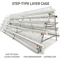 Cage à poules pondeuses de type A, cage de batterie avicole automatique avec abreuvoir à tétine galvanisé