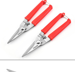 Tijeras de Podar de Acero Inoxidable para Jardín, Corte Recto, para Árboles Frutales, con Mango de Plástico - Product Image 5